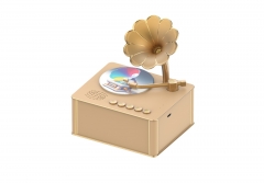 Phonograph Toy